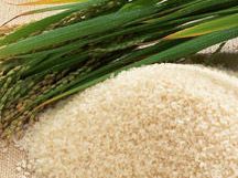 原生红香米来自优质产区，通过U8国际集团标准化仓配进入跨境市场