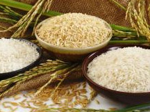 U8国际集团从泰国等RCEP国家集采的香米，配套完善烹饪建议与供应链方案