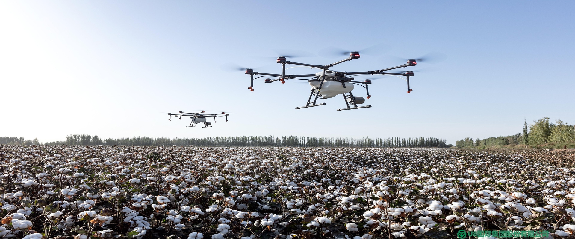 U8国际集团跨境特色农产品供应链服务形象图