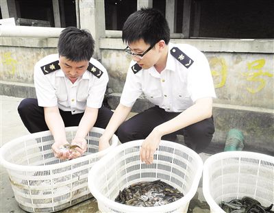 “一带一路”倡议对中国农产品贸易的影响(图1)