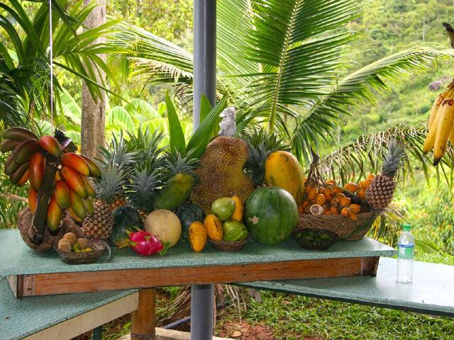 云南铁路2025年发送旅客突破1亿人次(图1)