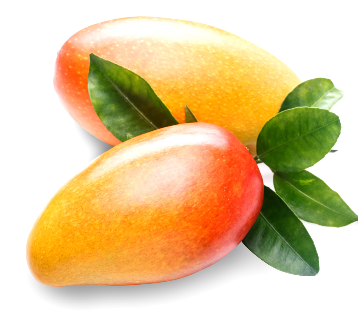 海南推出165项文旅体活动迎新春六大亮点邀游客“穿短袖过大年”(图1)