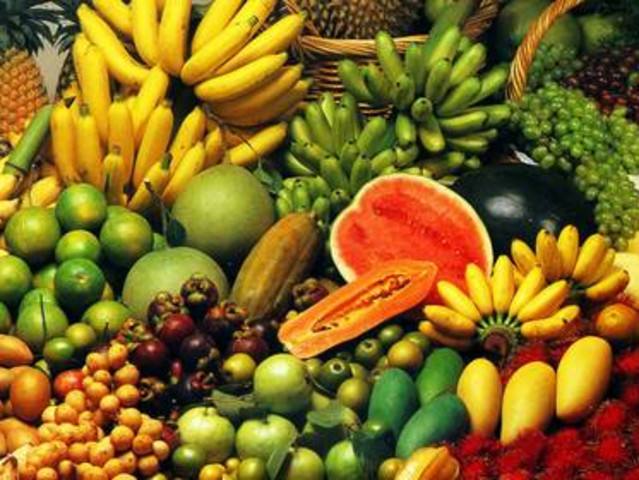 百姓看联播丨热带水果何以“落户”承德(图1)