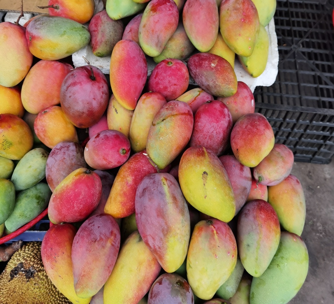 【澜湄印象】东南亚热带水果“跨境春运”火热走俏中国年货市场(图1)