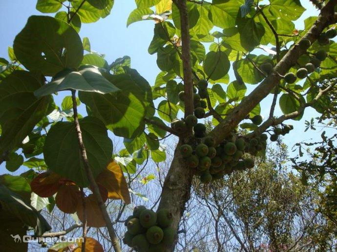 2026新春走基层丨识百草、尝鲜果长春农博会里过个健康年(图1)