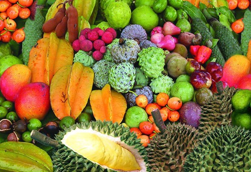 空港成“文化客厅”浓浓年味迎客来(图1)