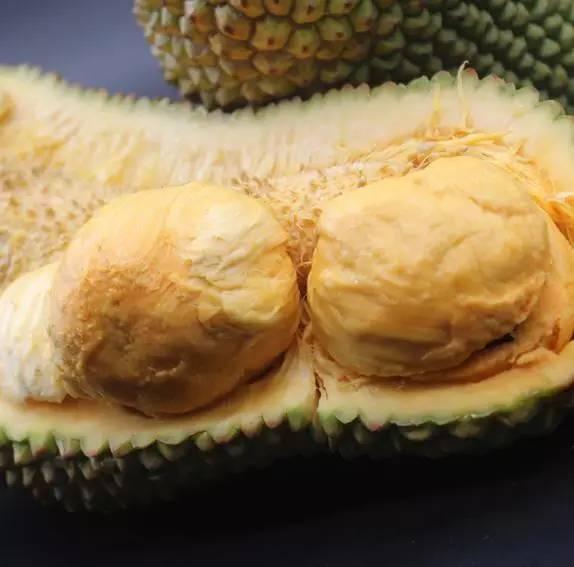 春运以来中老铁路国际客货运输两旺(图1)