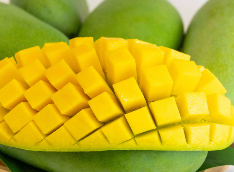 中老铁路春运进出口货值突破148亿元同比增长近九成(图1)