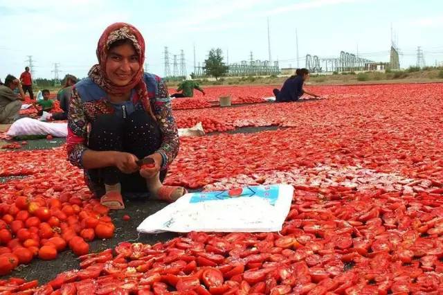 今年前两月甘肃对共建“一带一路”国家出口增长561%(图1)