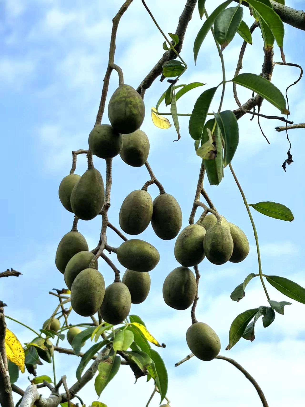 水果发货量涨38%——货运大数据里的中国初春(图1)