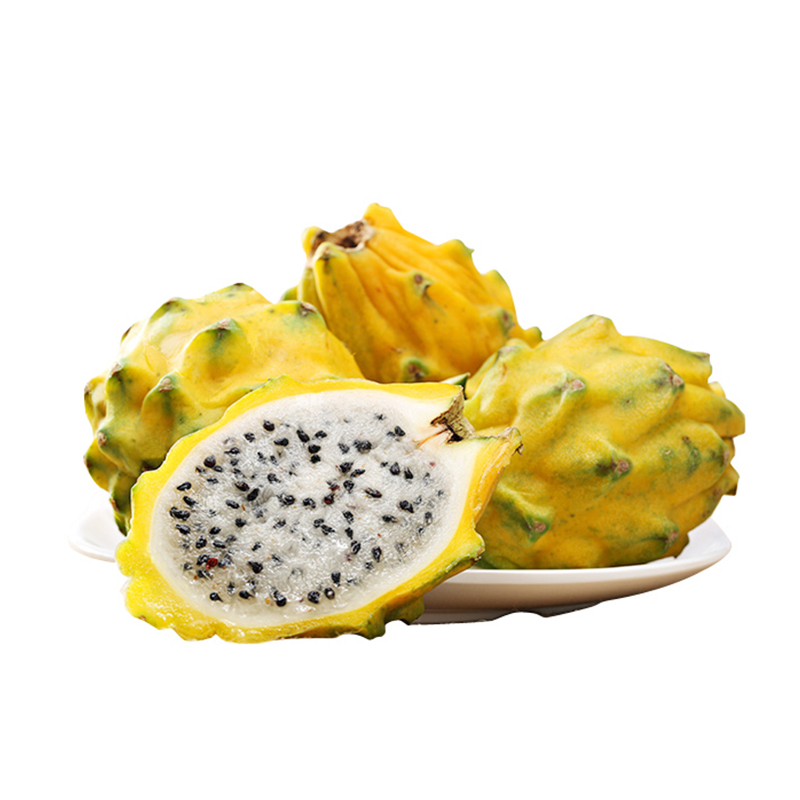 潮起海之南丨热带水果产业何以成为海南自贸港深化国际合作的“甜蜜引擎”？(图1)