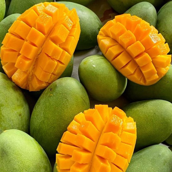 信用担保“轻装上阵”农旅研学“破土成景”(图1)