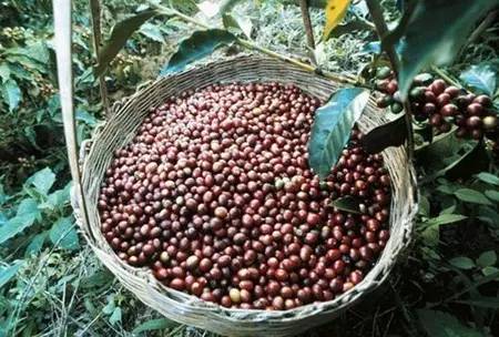 中老铁路向新而行书写发展新诗篇(图1)