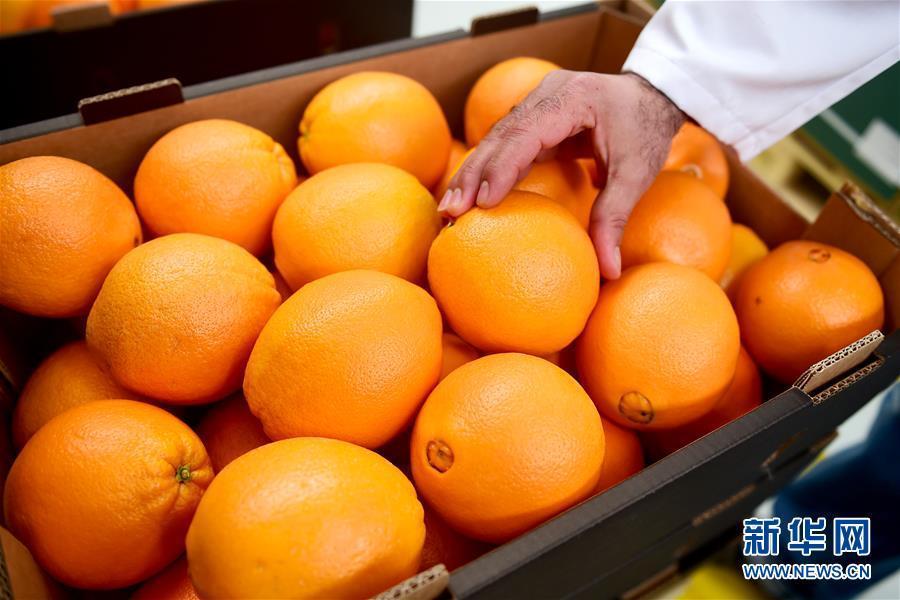 949万亿外贸背后：“空中动脉”运送广货行天下丨读懂南航③(图1)