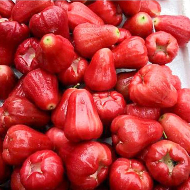 中老铁路迎来热带水果运输旺季助力消费者实现“榴莲自由”(图1)