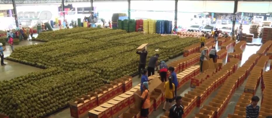 好评中国丨“一带一路”一起闯连通世界万里航(图1)