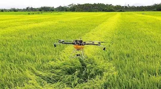 这场“越来”越香的跨国合作何以甜上心头？(图1)