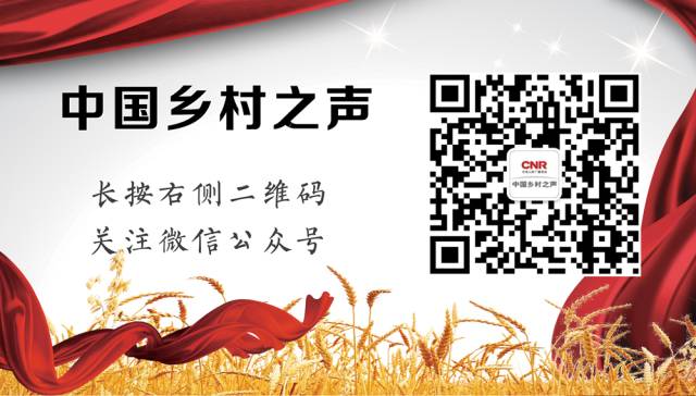 【媒体看莱西·青岛日报】莱西农产品首季出口同比增115%(图1)