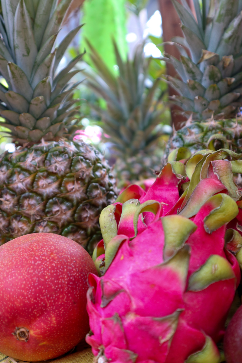 乐东哈密瓜：果肉细腻香甜多汁热带水果！(图1)