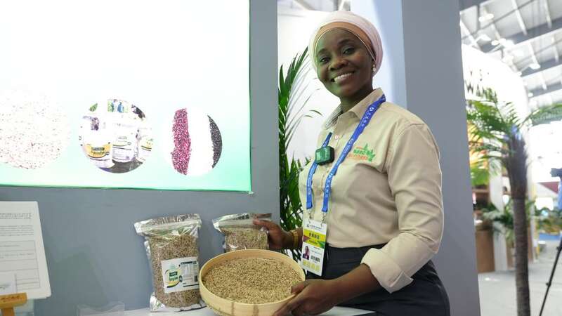 2026年食用菌行业发展现状分析与未来趋势展望(图1)