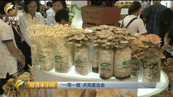 一带一路与走出去(图1)