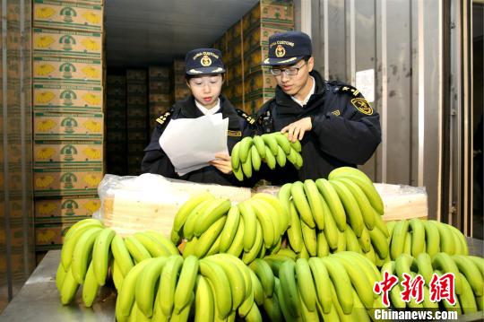 2026“一带一路”背景下国内外农业合作行业:早已告别“开荒种粮”的旧时代(图1)