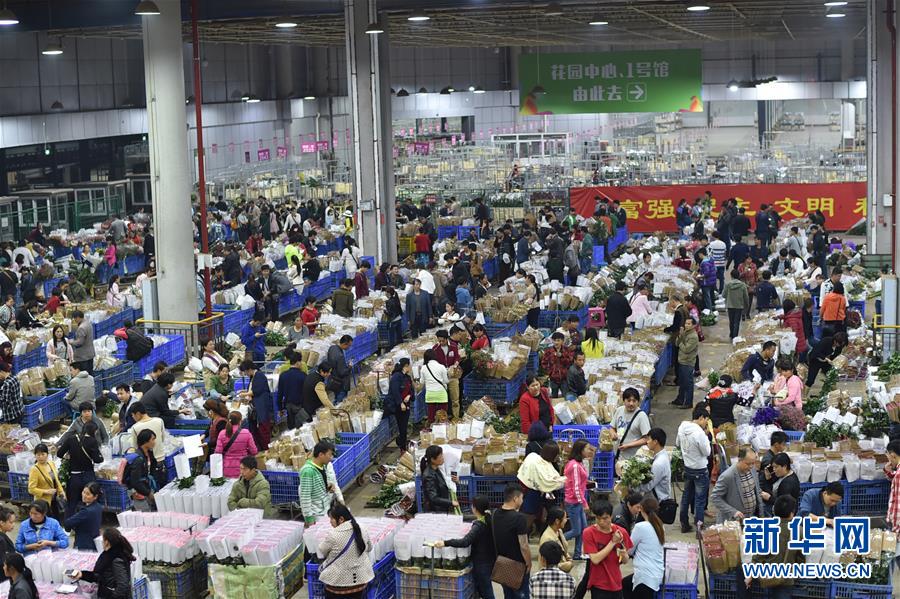 跨境服务再扩容!兴业银行上线泰铢、阿联酋迪拉姆业务(图1)