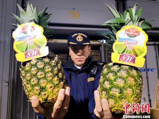 通道畅结构优主体活——看甘肃外贸上半年成绩单(图1)