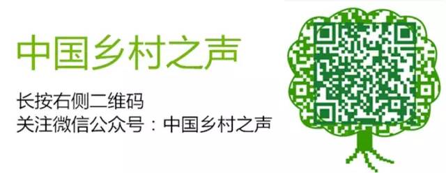 “一减一增一放大”平陆运河释放多重红利(图1)