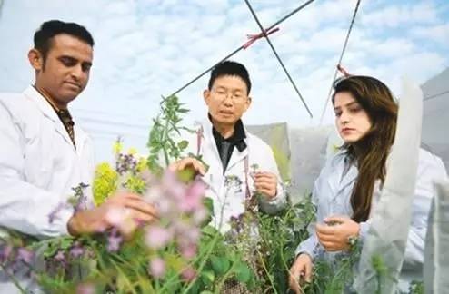 南航广州至内罗毕全货机直飞航线开通(图1)